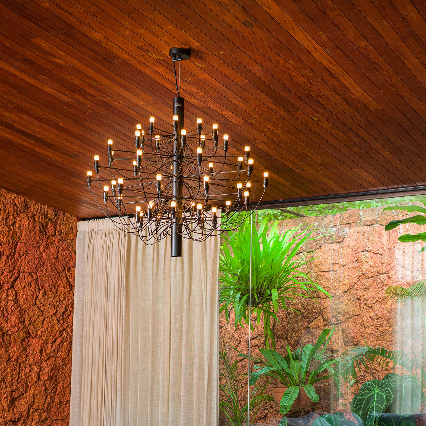 2097/50 (clear bulbs)